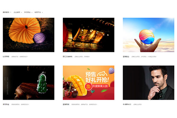几种常见的企业网站类型