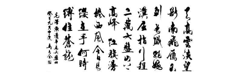 1506586078007163812.jpg